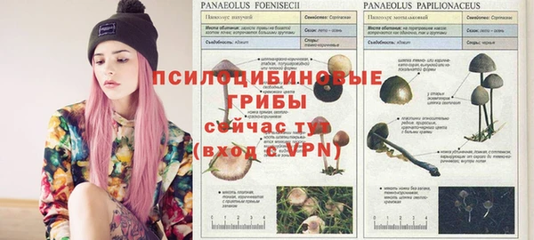 кокаин Киреевск