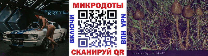 Галлюциногенные грибы мицелий  Купить  Горно-Алтайск 