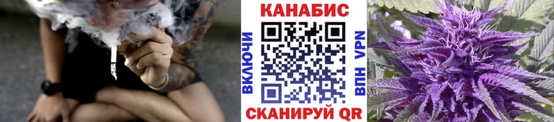 Бошки марихуана OG Kush  Купить где  Горно-Алтайск 